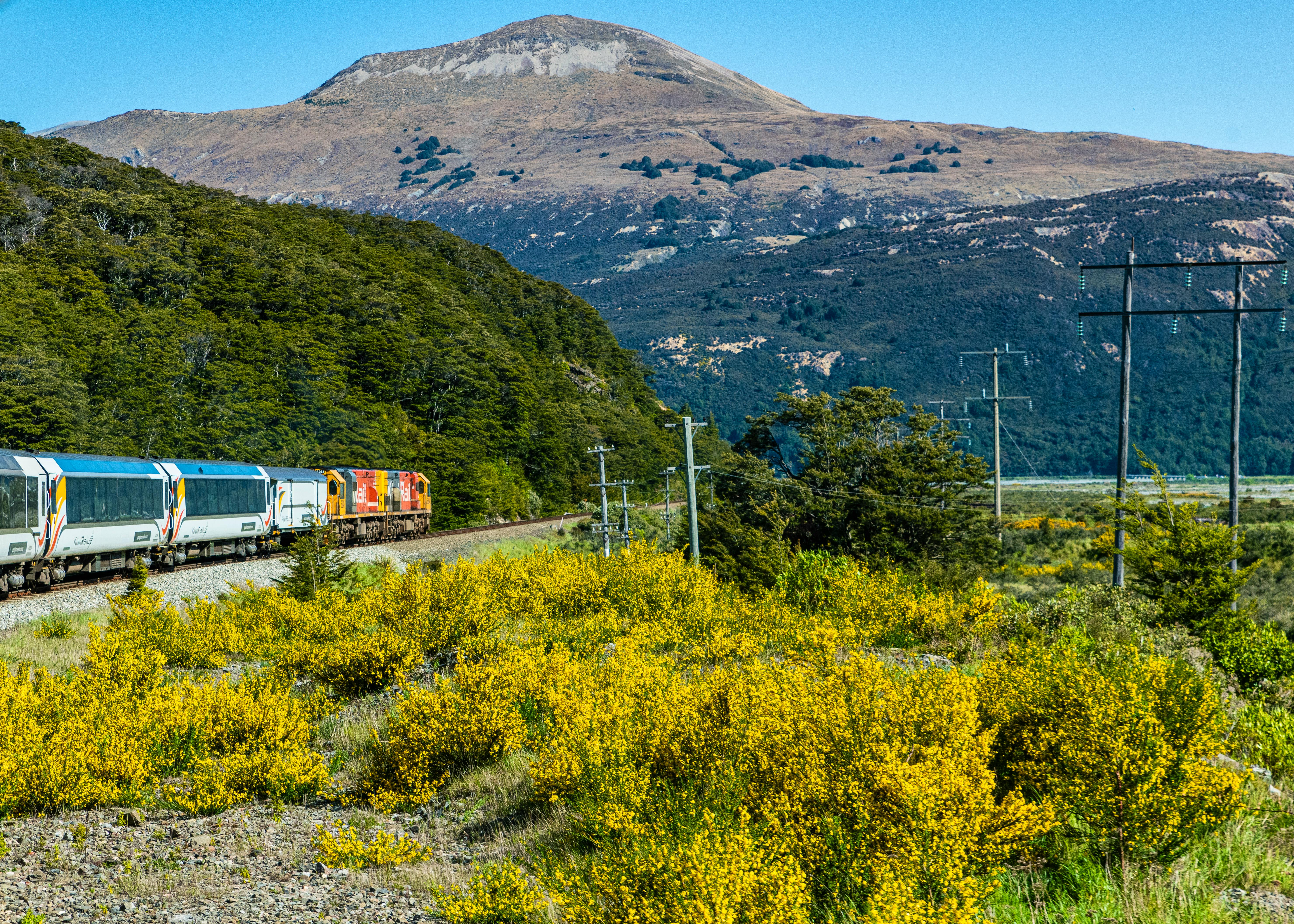 Zugfahrt mit dem TranzAlpine Zug in Neuseeland - &copy;PER ENGSTROM - stock.adobe.com