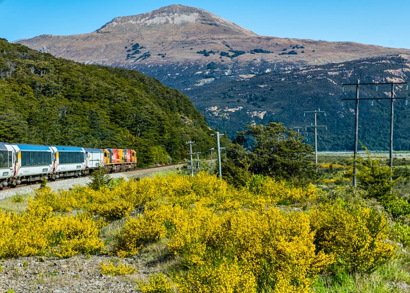 Zugfahrt mit dem TranzAlpine Zug in Neuseeland - ©PER ENGSTROM - stock.adobe.com