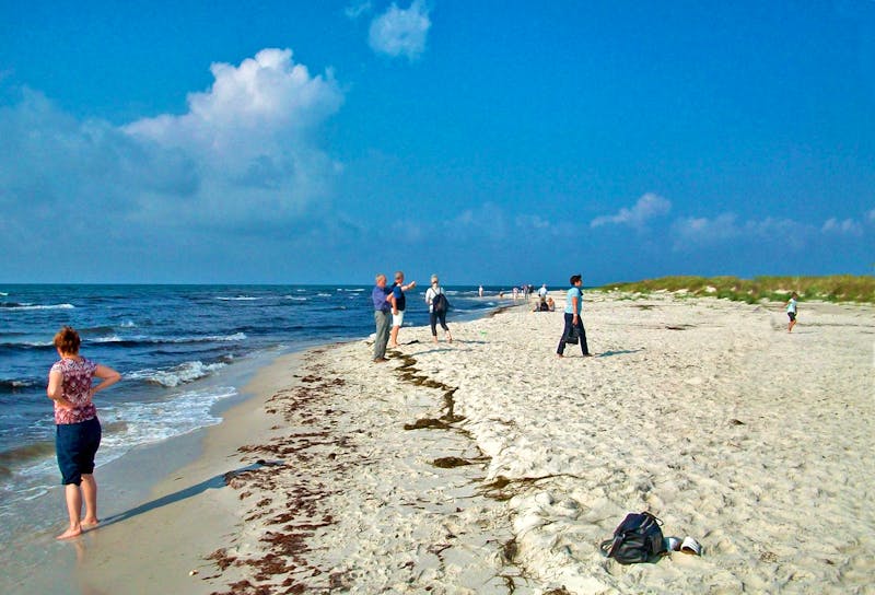 Strand Dueodde an der Südspitze der Insel Bornholm - ©Steffen Mucke - Eberhardt TRAVEL