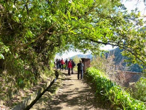 Madeira - Levada-Wanderung durch den Lorbeerwald &ndash; &copy; Maria Michel - Eberhardt TRAVEL