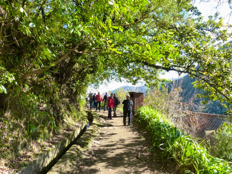 Madeira - Levada-Wanderung durch den Lorbeerwald - ©Maria Michel - Eberhardt TRAVEL
