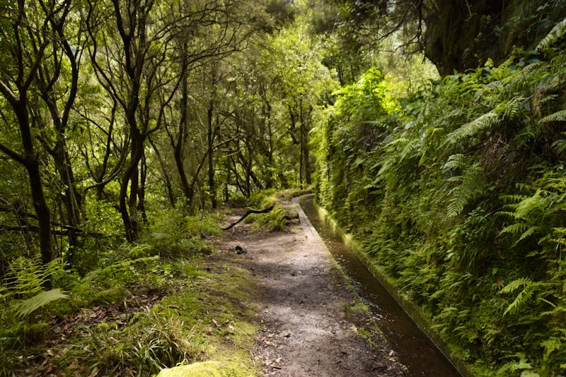 Madeira - Wanderung Levada do Rei - ©Martin Gruhle - Eberhardt TRAVEL