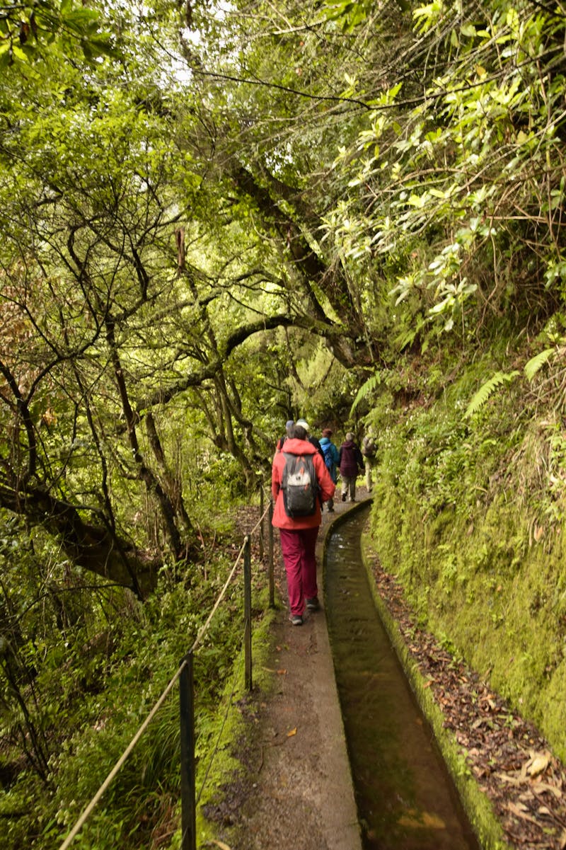 Madeira - Wandern an der Levada do Rei - ©Martin Gruhle - Eberhardt TRAVEL