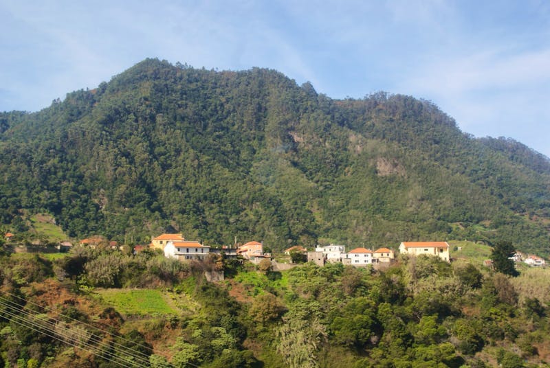 Madeira - Auf dem Weg nach Santana - ©Susanne Schirmann - Eberhardt TRAVEL