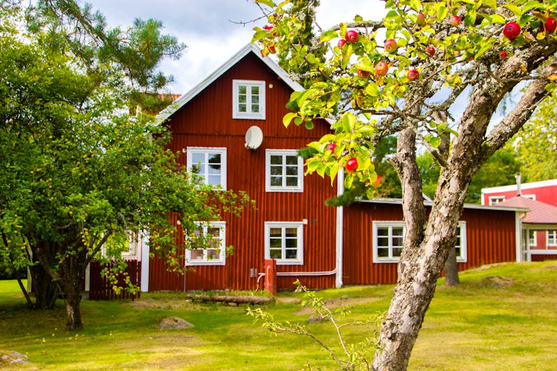 Smaland - typisches skandinavisches Holzhaus mit Apfelbaum - ©Little Adventures - stock.adobe.com