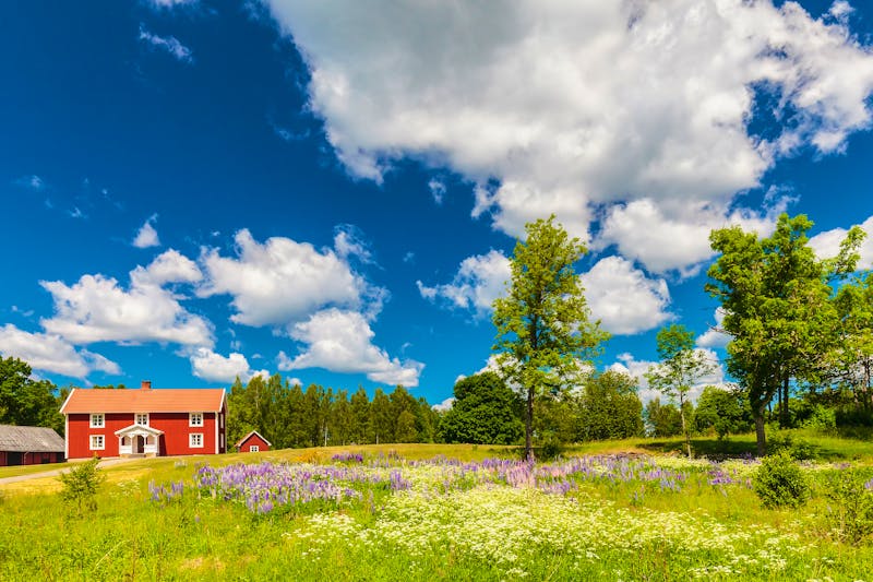 Smaland - typisches skandinavisches Holzhaus auf einer Farm - ©Martin Bergsma - stock.adobe.com