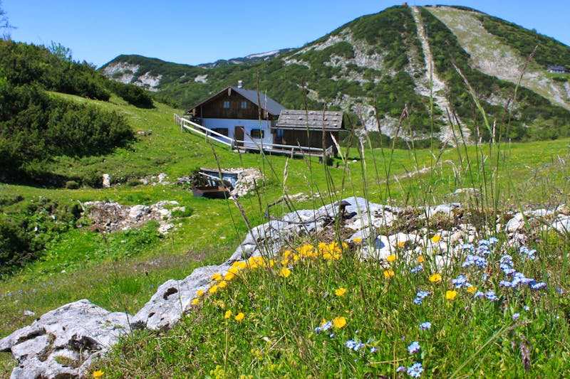 Wanderung auf dem Feuerkogel - ©hofi777 - stock.adobe.com