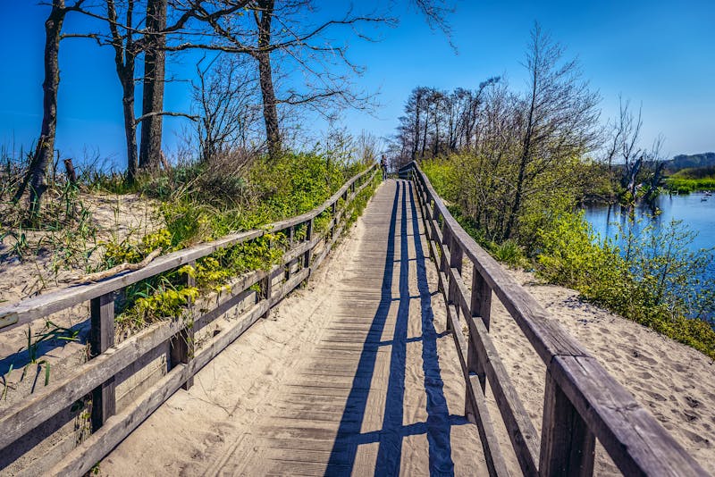 Wanderweg im Eco Park Naturschutzgebiet bei Kolberg - ©Fotokon - stock.adobe.com