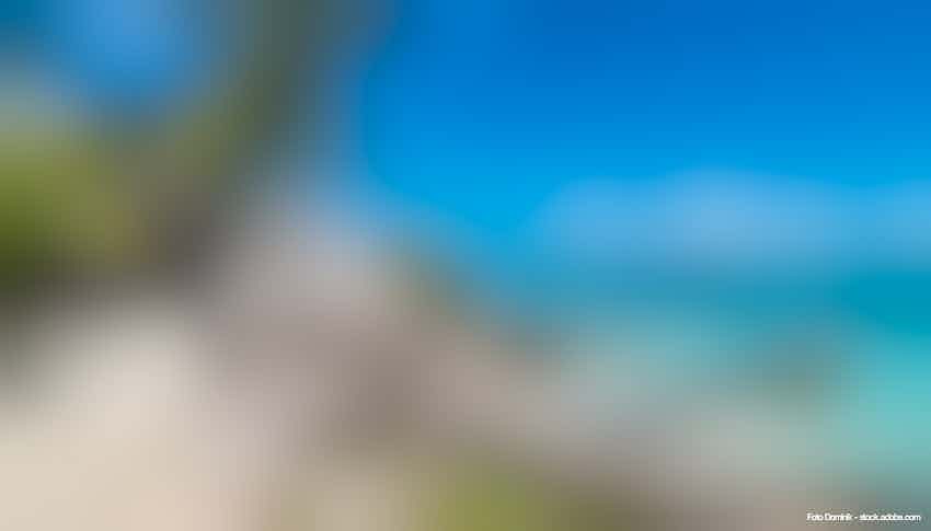 Seychellen la digue anse source d argent traumstrand – © Dominik - stock.adobe.com