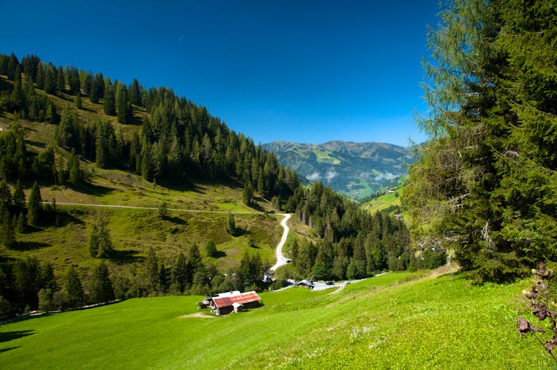 Im Großarltal - ©Weber Jeannot