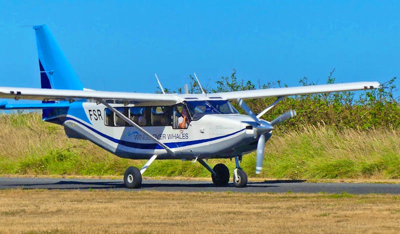 Walbeobachtung per Flugzeug bei Kaikoura - ©Frank Nimschowski - Eberhardt TRAVEL