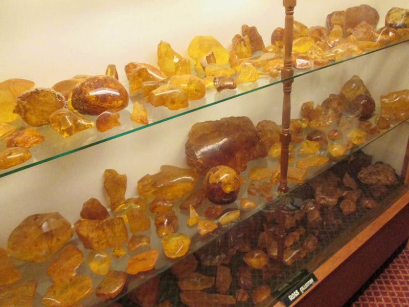 Bernstein-Ausstellung im Kauri-Museum - ©Manuela Kreuz - Eberhardt TRAVEL