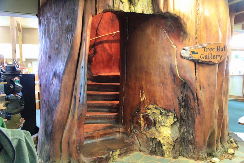 Treppe aus einem Kauri-Stamm - ©Kristin Weigel - Eberhardt TRAVEL