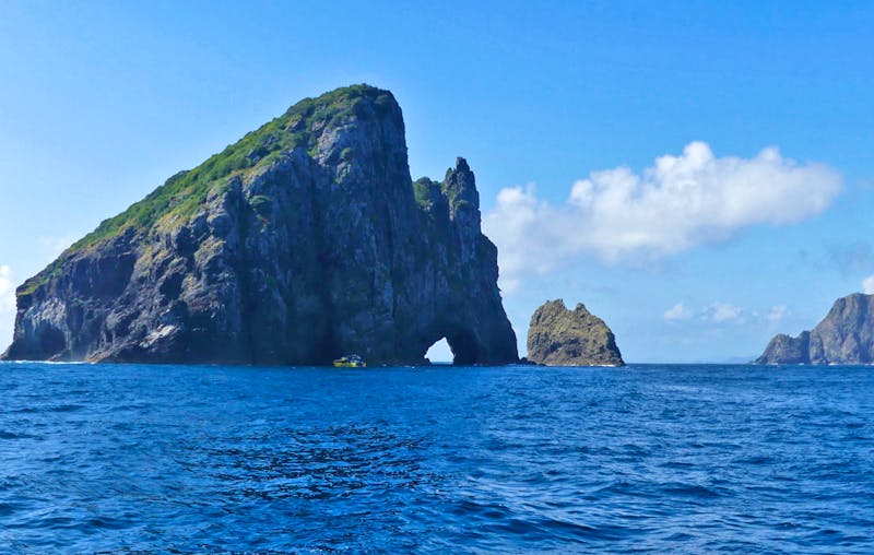 Hole in the Rock in der Bay of Islands - ©Frank Nimschowski - Eberhardt TRAVEL