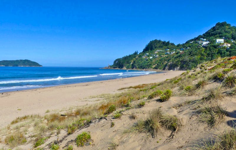 Strand bei Tairua - Coromandel-Halbinsel - ©Frank Nimschowski - Eberhardt TRAVEL