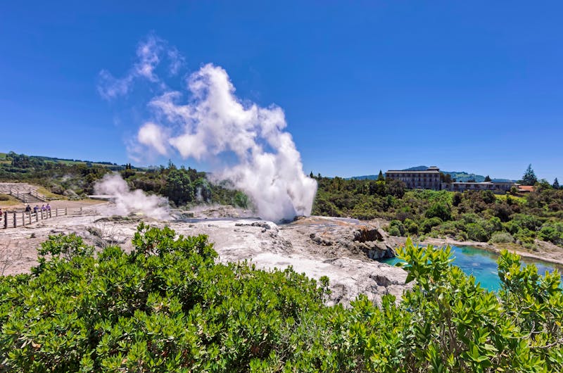 Pohutu Geysir im Geothermalpark Te Puia bei Rotorua - ©Ulrike Hammerich - stock.adobe.com