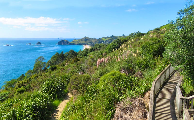 Wanderung zur Cathedral Cove - Coromandel Halbinsel - ©Rico Manns - Eberhardt TRAVEL