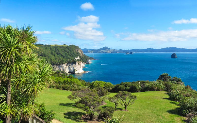 Wanderung zum Cathedral Cove - Coromandel - ©Rico Manns - Eberhardt TRAVEL
