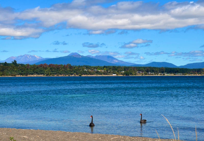 Lake Taupo - Kratersee in der Vulkan-Region der Nordinsel - ©Katja Neumann - Eberhardt TRAVEL