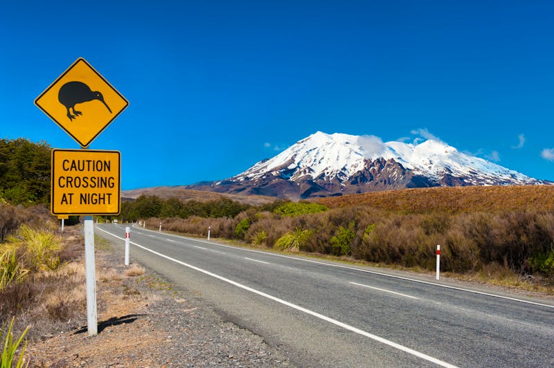 Vulkan Ruapehu - Tongariro Nationalpark - ©Fyle - stock.adobe.com
