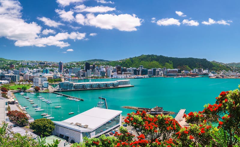 Blick vom Mount Victoria auf Wellington - ©Stefan Mokrzecki - stock.adobe.com
