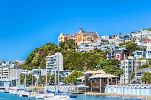Wellington - Blick vom Hafen auf Mount Victoria &ndash; &copy; Dieter Meyer - stock.adobe.com