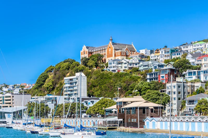 Wellington - Blick vom Hafen auf Mount Victoria - ©Dieter Meyer - stock.adobe.com