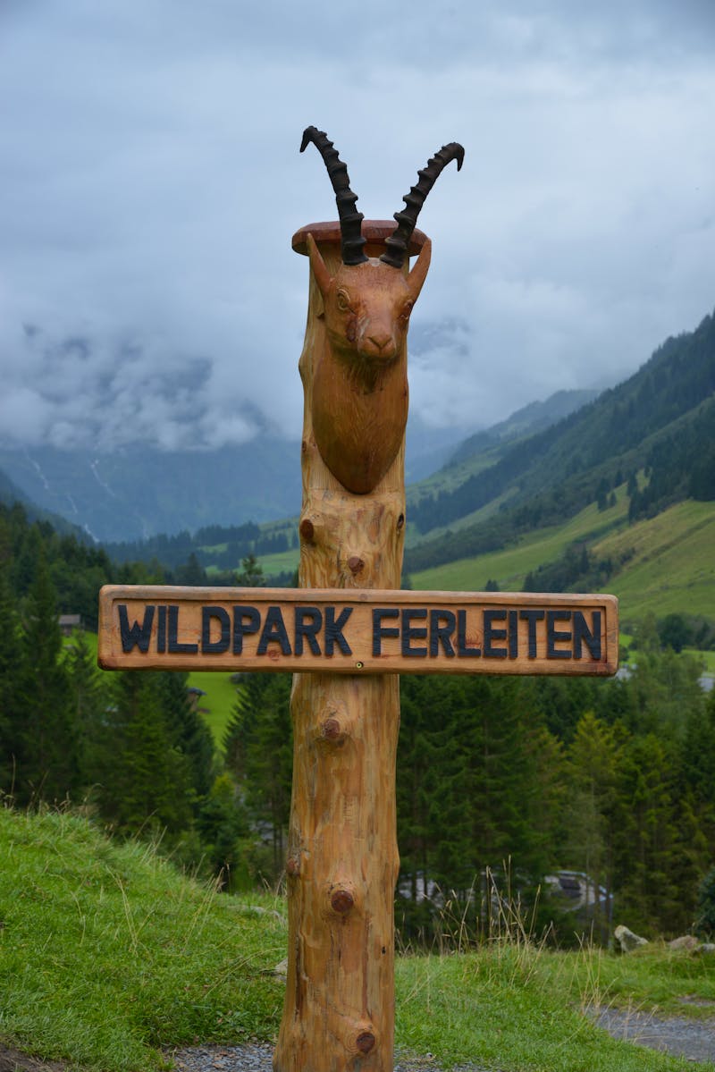 Wildpark Ferleiten - ©Christian - stock.adobe.com