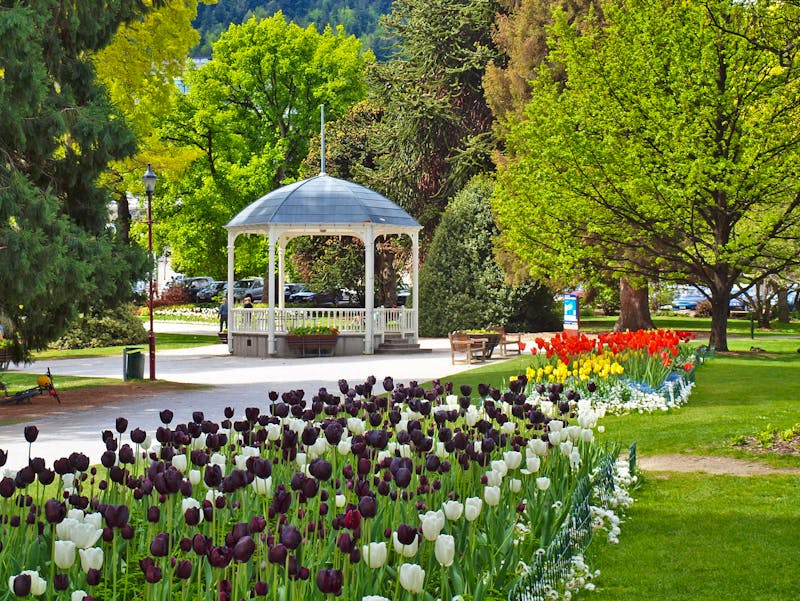 Botanischer Garten in Queenstown - ©Juliane Voigt - Eberhardt TRAVEL