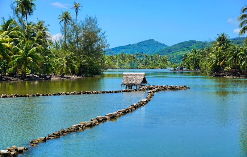 Traditionell polynesische Fischerei auf der Insel Huahine - ©dam@seaphotoart.com - Adobe Stock