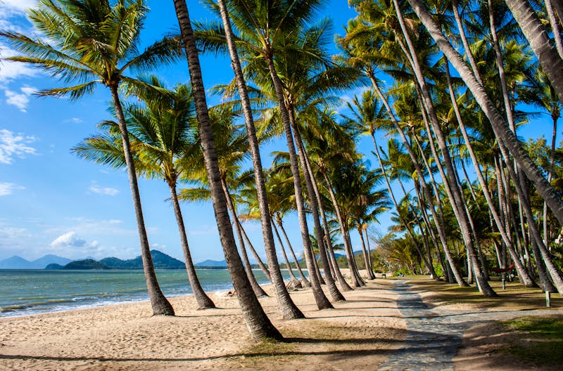 Strand von Palm Cove - Queensland / Australien - ©Norman - stock.adobe.com