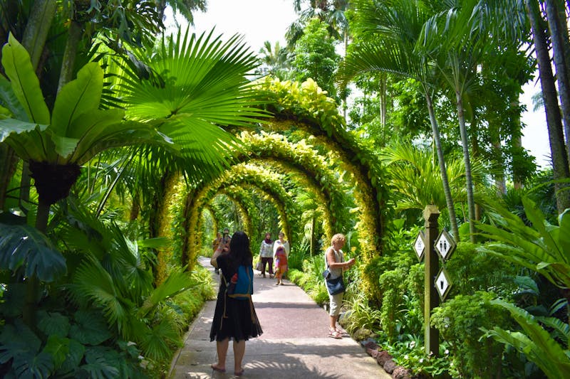 Botanischer Garten in Singapur - ©Eric Richter - Eberhardt TRAVEL