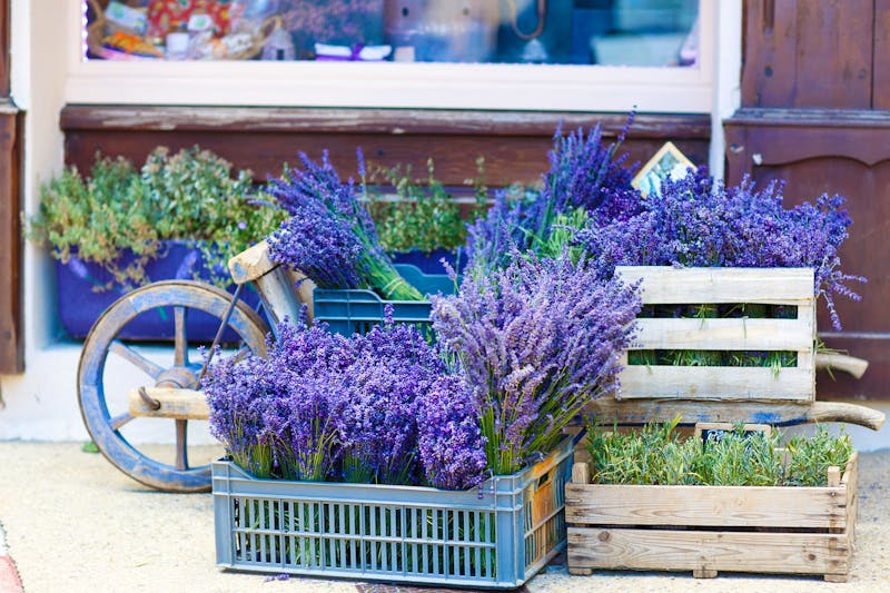 Lavendelgeschäft in der Provence - ©Irina Schmidt - stock.adobe.com