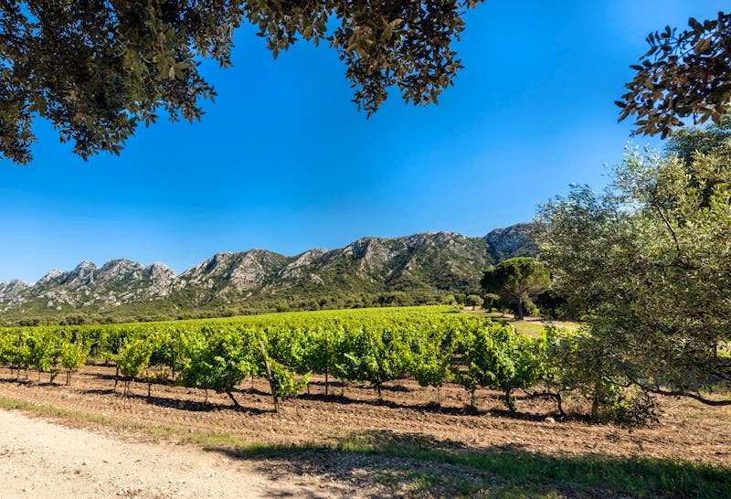 Luberongebirge bei Saint-Remy-de-Provence - ©HorstLlieber - stock.adobe.com