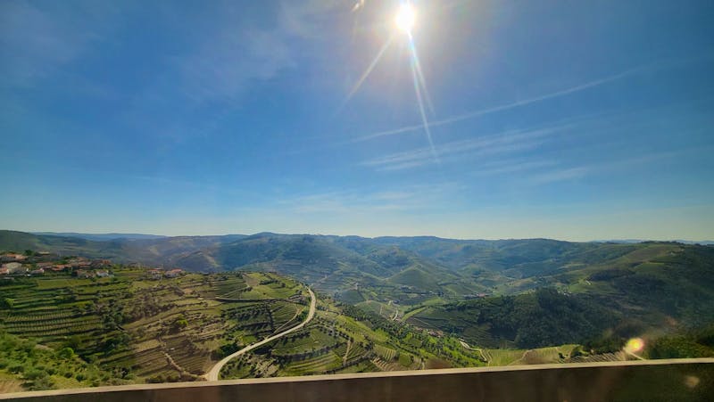 Weinberge im Douro-Tal bei Vila Real - Portugal - ©Franziska Bergmann für Eberhardt TRAVEL GmbH