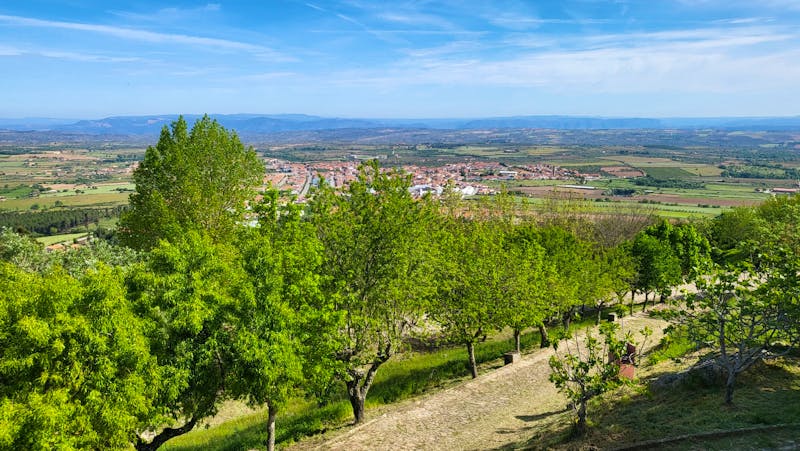 Wein- und Mandelanbau beim Bergdorf Castelo Rodrigo - Portugal - ©Franziska Bergmann für Eberhardt TRAVEL GmbH