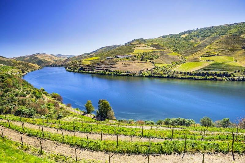 Weinberge im Douro-Tal bei Pinhao - Portugal - ©kite_rin - stock.adobe.com