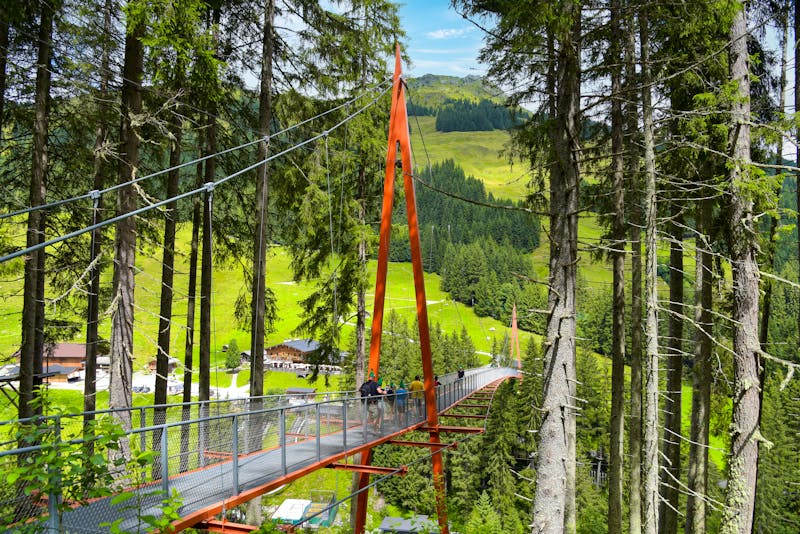 Baumzipfelweg bei Hinterglemm - Golden Gate Bridge der Alpen - ©Henry Czauderna - stock.adobe.co