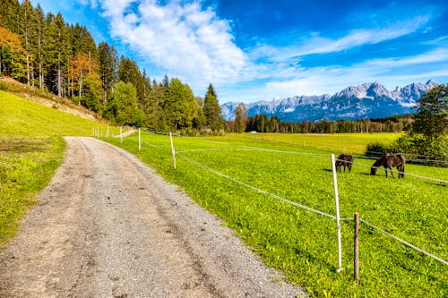 Landschaft bei Maishofen im Salzburger Land &ndash; &copy; rphfoto - stock.adobe.com