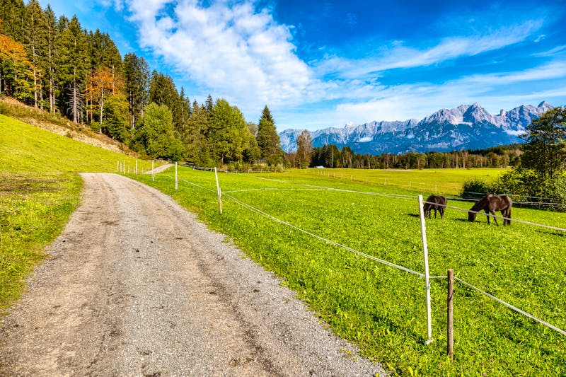 Landschaft bei Maishofen im Salzburger Land - ©rphfoto - stock.adobe.com