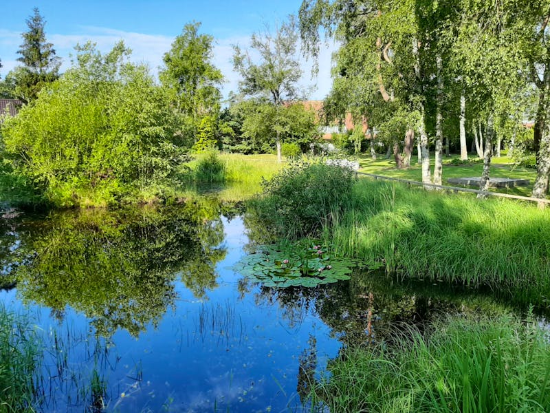 Kurpark in Dierhagen-Strand - ©Katrin Deutschbein - Eberhardt TRAVEL