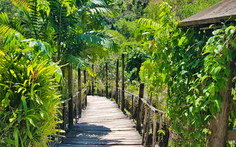 Garden of the Sleeping Giant auf den Fidschi-Inseln - &copy;Jacob Spangenberg - Eberhardt TRAVEL