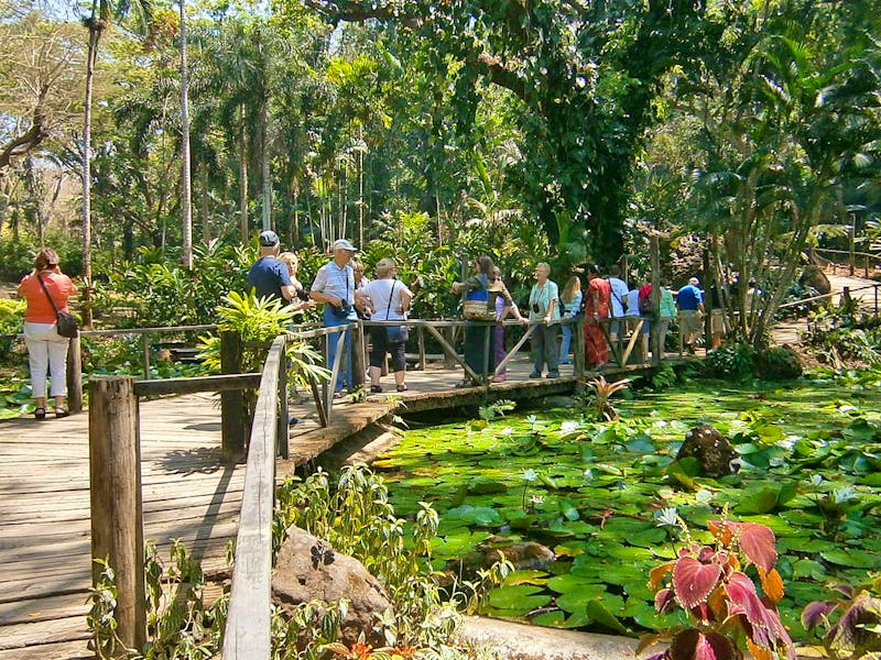 Garden of the Sleeping Giant auf den Fidschi-Inseln - &copy;Ngoc Anh Nguyen - Eberhardt TRAVEL