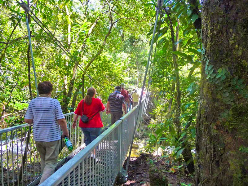 Spaziergang im Daintree Nationalpark - Mossman Gorge - ©Ralf Mehnert - Eberhardt TRAVEL