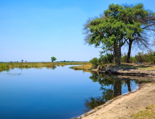 Flusslandschaft im Bwabwata-Nationalpark  – © Radek - stock.adobe.com