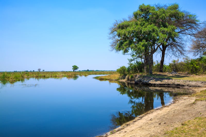 Flusslandschaft im Bwabwata-Nationalpark  - ©Radek - stock.adobe.com