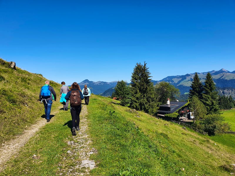 Wanderung zur Aschinger Alm - ©Sophia Bär - Eberhardt TRAVEL