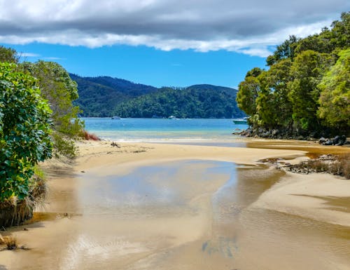 Abel Tasman Nationalpark – © PRILL Mediendesign - stock.adobe.com
