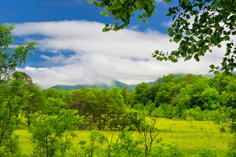 Great Smoky Mountains in Tennessee - USA - ©Darrell Young - stock.adobe.com