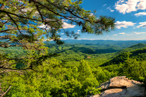 Great Smoky Mountains in Tennessee - USA &ndash; &copy; Darrell Young - stock.adobe.com